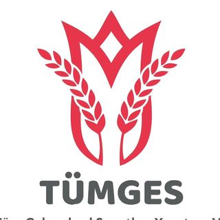 TÜMGES Web Sitemiz Yayında